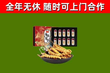 江川回收冬虫夏草价格