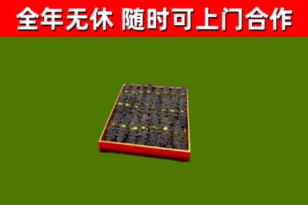 江川烟酒回收海参.jpg